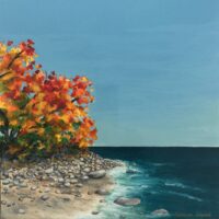 Mer~veille d'automne